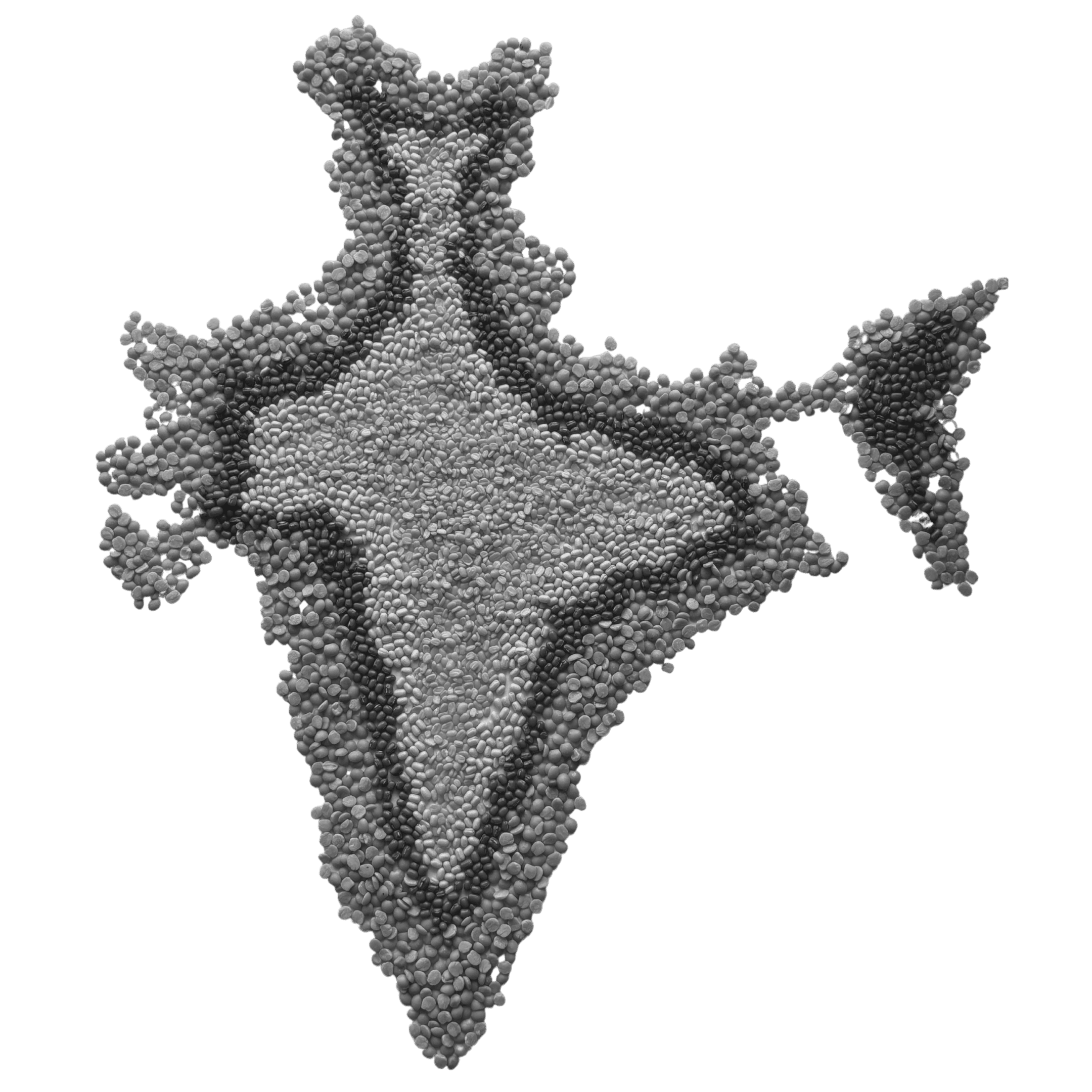 India commodity trade network